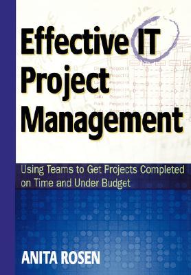 Effective It Project Management