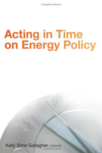 Acting in Time on Energy Policy