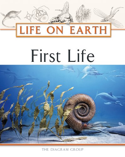 First Life