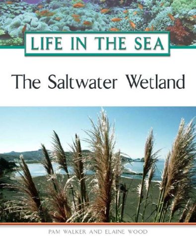 The Saltwater Wetland