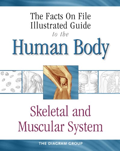 The Facts on File Illustrated Guide to the Human Body