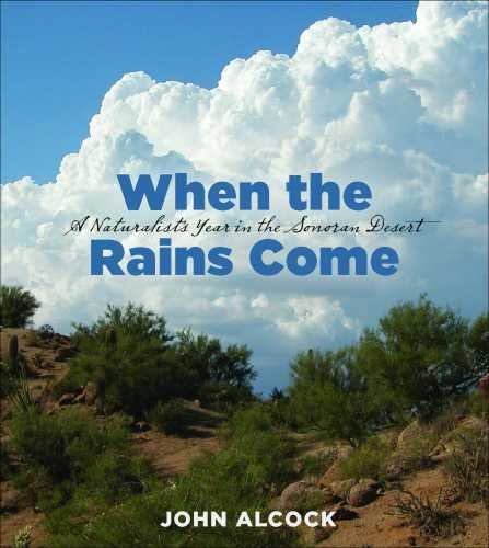 When the Rains Come: A Naturalist&rsquo;s Year in the Sonoran Desert