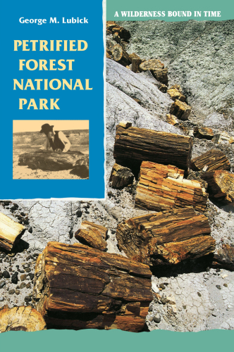 Petrified Forest National Park