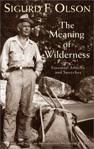 Meaning of Wilderness