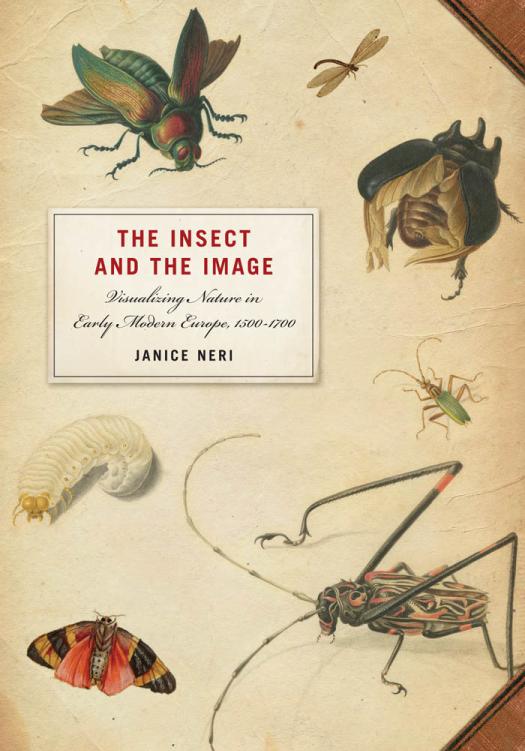 The Insect and the Image