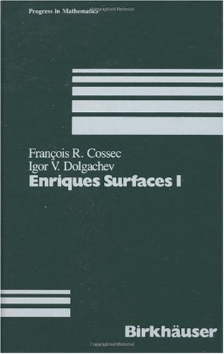 Enriques Surfaces I