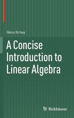 A Concise Introduction to Linear Algebra