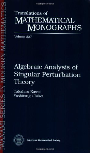 Algebraic Analysis of Singular Perturbation