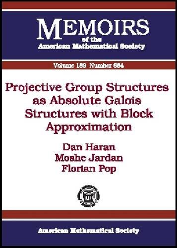 Projective Group Structures as Absolute Galois Structures with Block Approximation