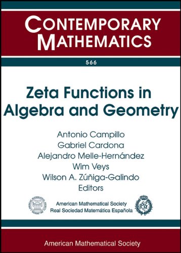 Zeta Functions in Algebra and Geometry