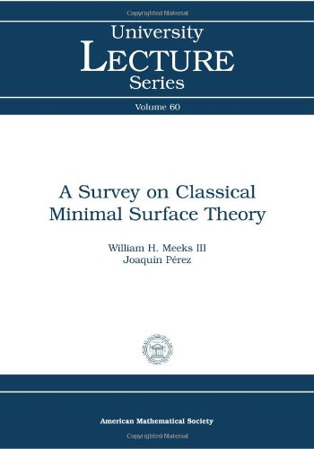 A Survey on Classical Minimal Surface Theory