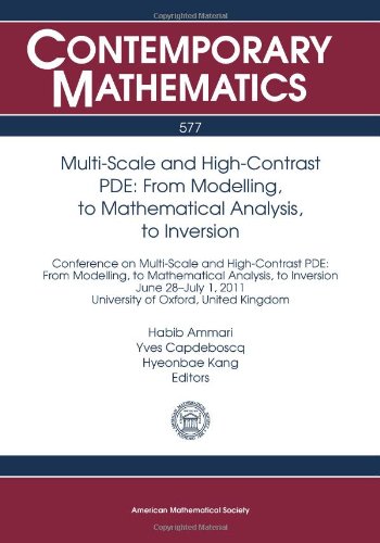 Multi-Scale and High-Contrast Pde