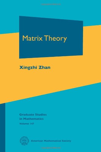 Matrix Theory