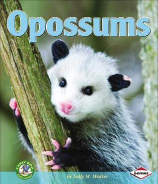 Opossums