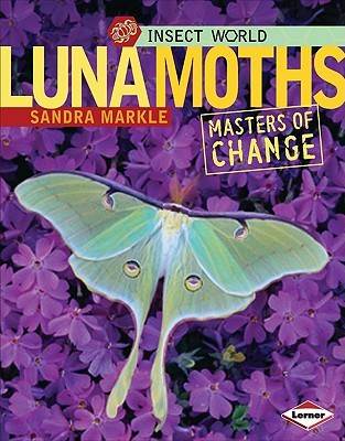 Luna Moths