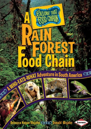 A Rain Forest Food Chain