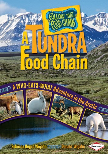 A Tundra Food Chain