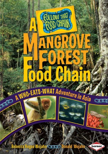 A Mangrove Forest Food Chain