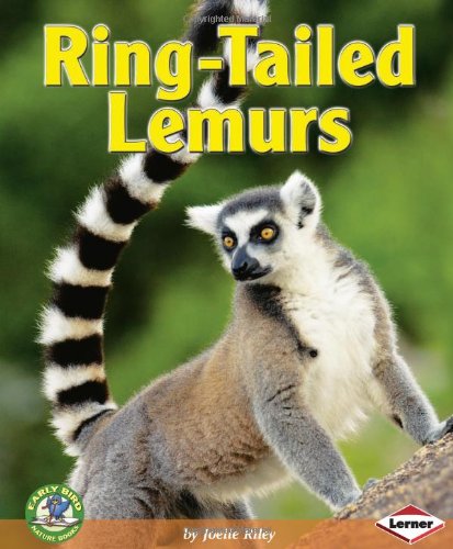 Ring-Tailed Lemurs