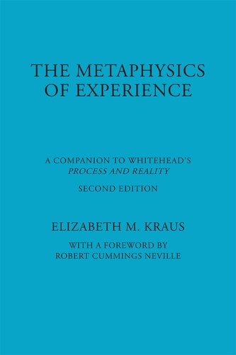 Metaphysics of Experience