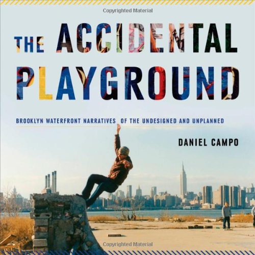 The Accidental Playground : Brooklyn Waterfront Narratives of the Undesigned and Unplanned.