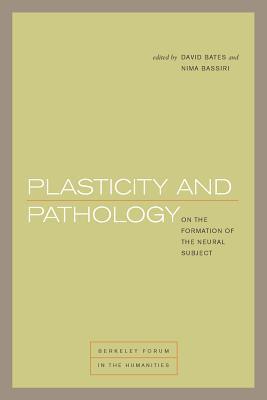 Plasticity and Pathology