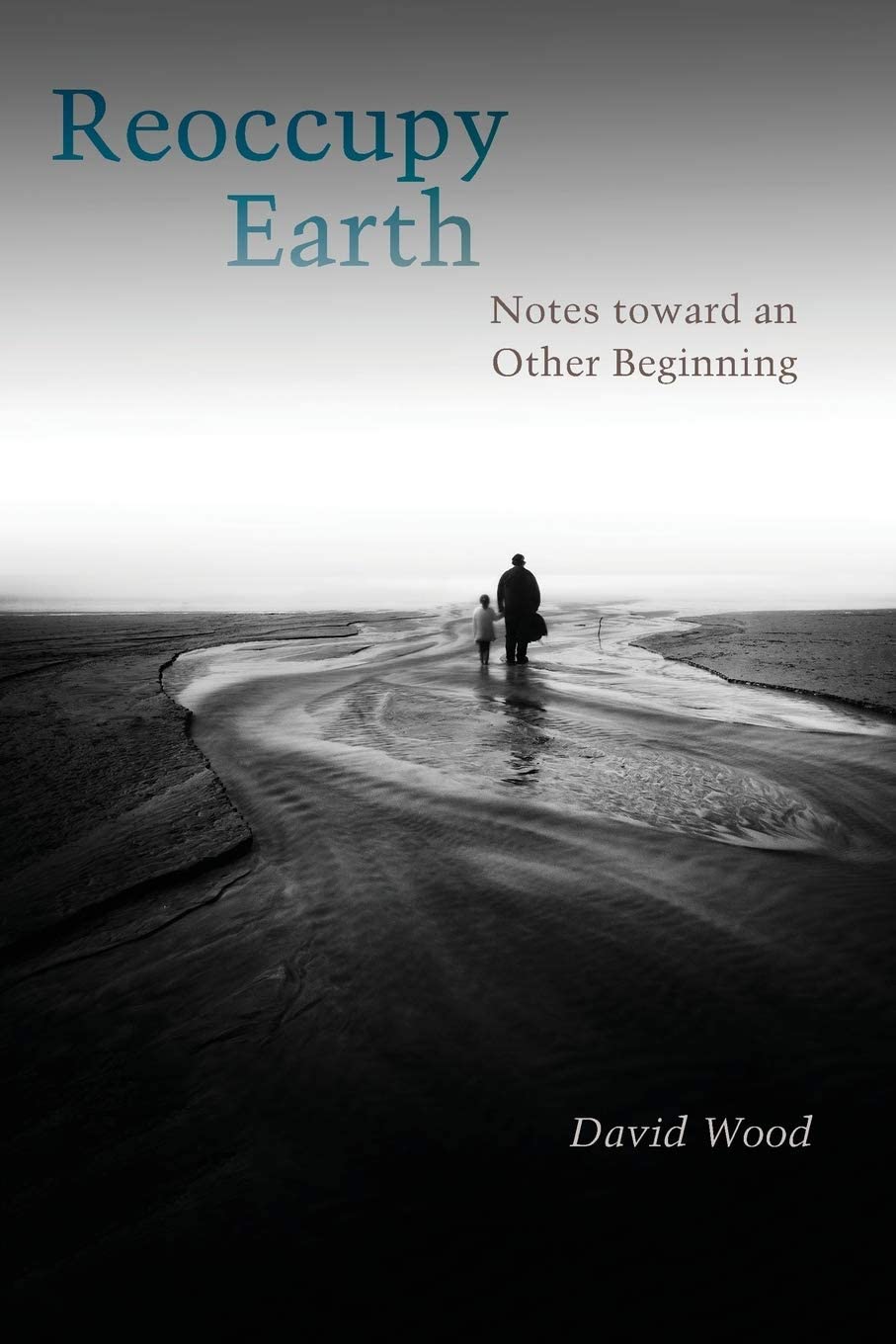 Reoccupy Earth: Notes toward an Other Beginning (Groundworks: Ecological Issues in Philosophy and Theology)