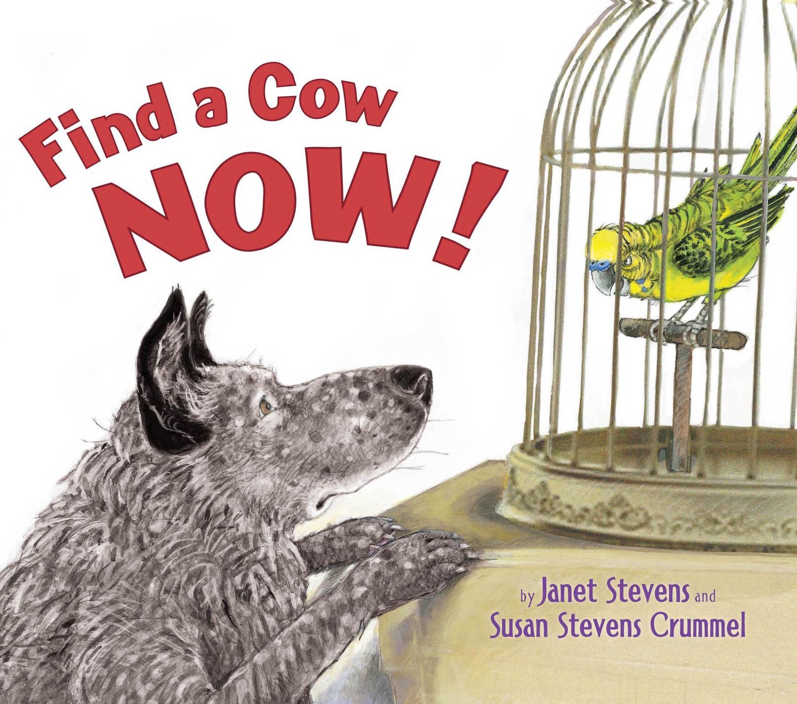 Find a Cow Now!