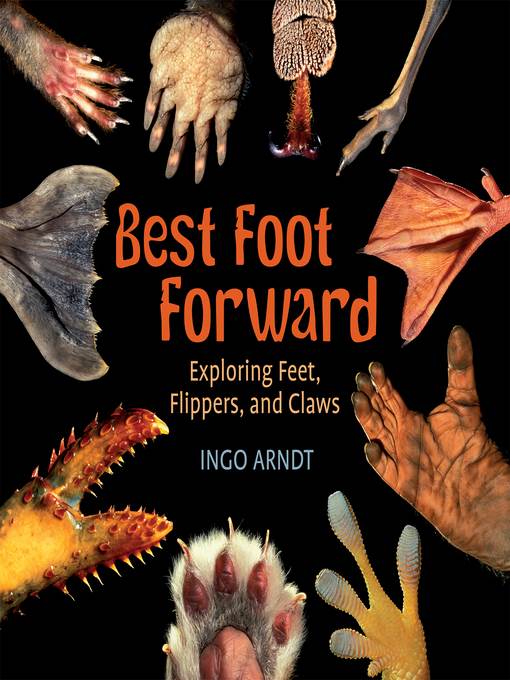 Best Foot Forward