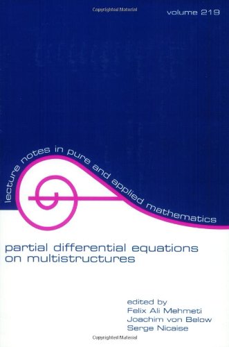 Partial Differential Equations on Multistructures