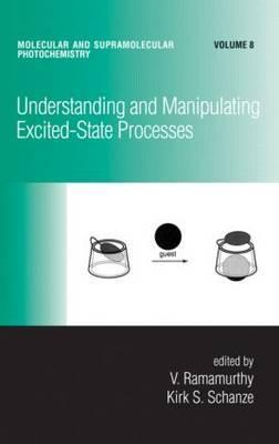 Understanding and Manipulating Excited-State Processes