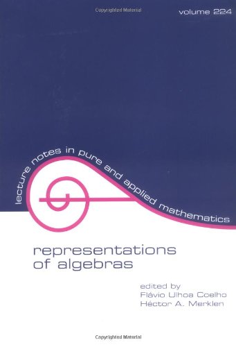Representations of Algebras