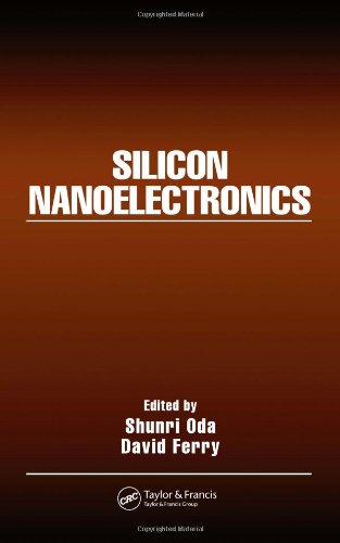 Silicon Nanoelectronics