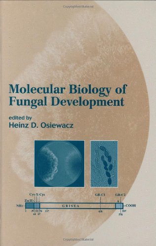 Molecular Biology of Fungal Development