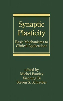 Synaptic Plasticity
