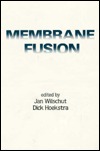 Membrane Fusion