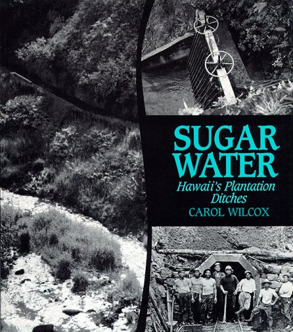 Sugar Water