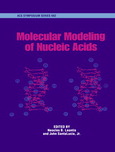 Molecular modeling of nucleic acids