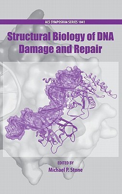 Structural Biology of DNA Damage and Repair