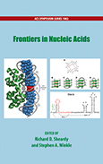 Frontiers in nucleic acids