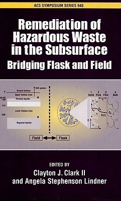 Remediation of Hazardous Waste in the Subsurface