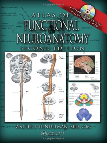 Atlas of Functional Neuroanatomy