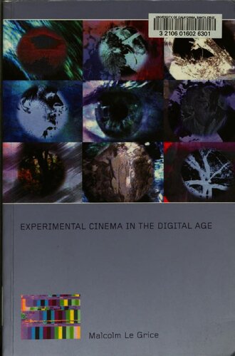 Experimental Cinema in the Digital Age