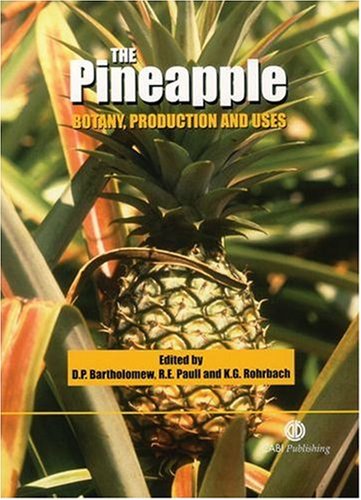 The Pineapple