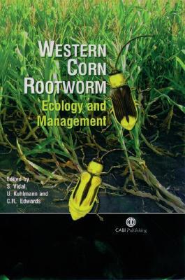 Western Corn Rootworm