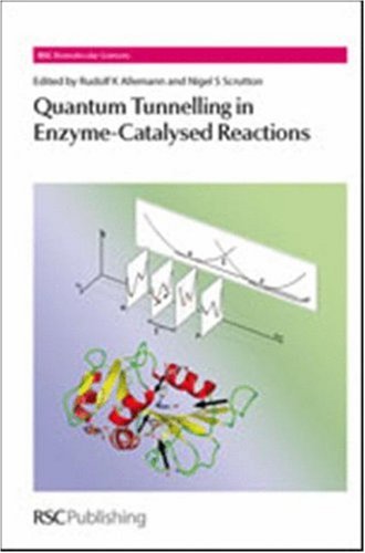 Quantum Tunnelling in Enzyme-Catalysed Reactions