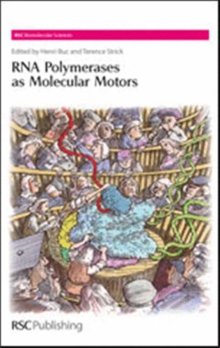 RNA Polymerases as Molecular Motors