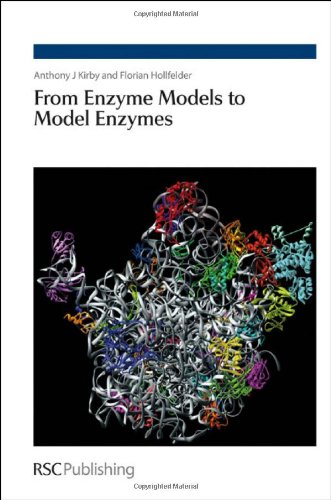 From Enzyme Models to Model Enzymes