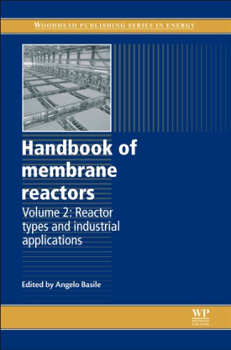 Handbook of membrane reactors