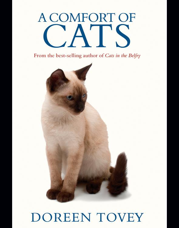 A comfort of cats